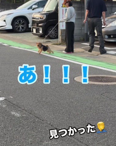 パパに気が付いた