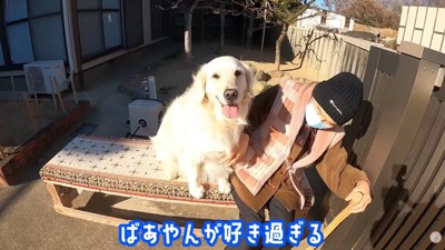 おばあちゃんにベッタリ