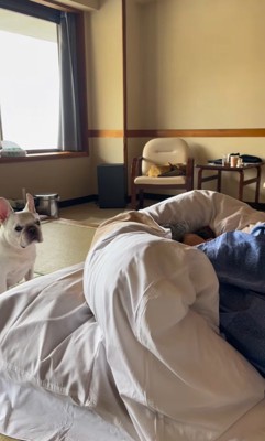 アピールに気づかないお父さん