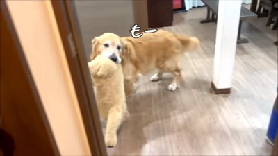 怒るベンツくん