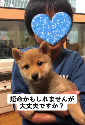 短命だと思うけど…