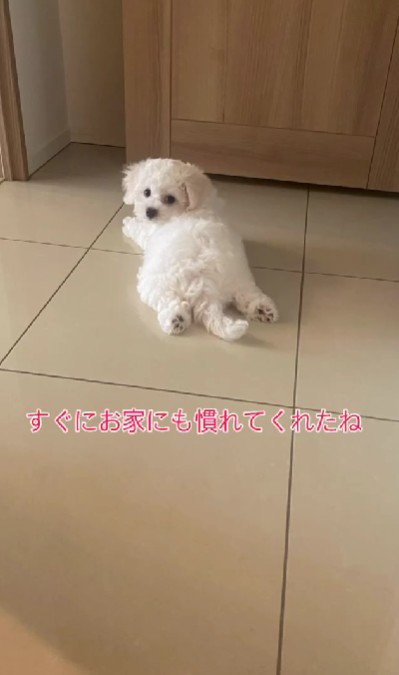 あっという間に慣れた♡