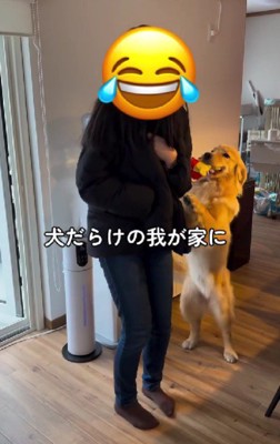 犬がちょっぴり苦手