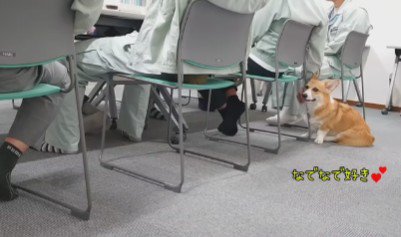 会議をしていたら