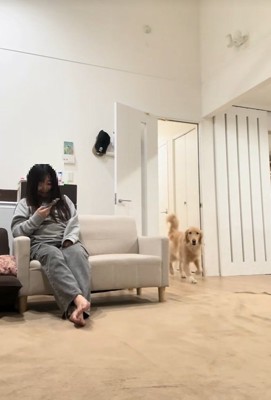 ハナコちゃんとお姉ちゃんの再会2