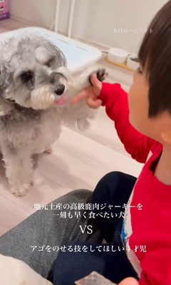 もなかちゃんの成長7