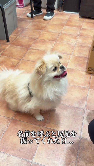 里親さんが見つからない