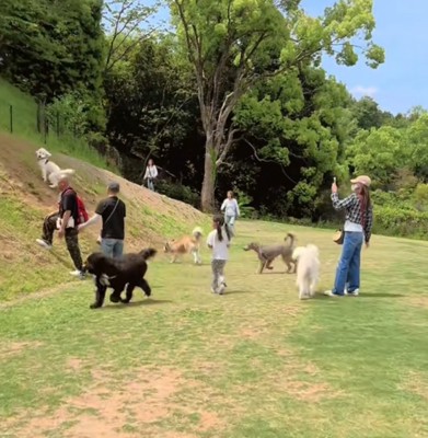 坂の方へと向かうおもちちゃん