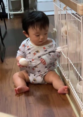 おもちゃが欲しい…