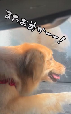 「またお前か!」
