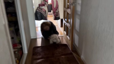 感動の再会に心温まる…