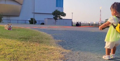 まったく動かないわらびちゃん