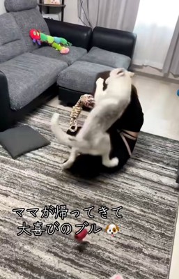 また倒されるママ