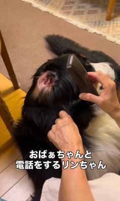 しっかりお話を聞いています