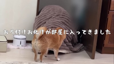 片付けおばけが出現！？