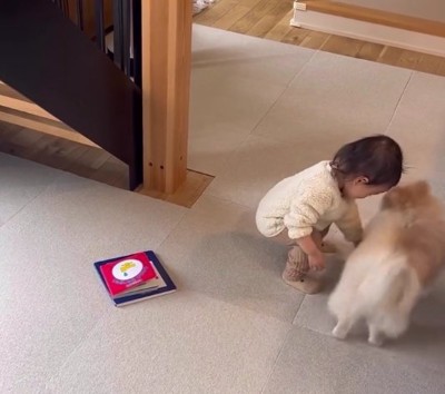 しゃがむ子供と犬