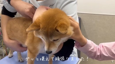 ワクチン接種完了!