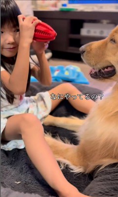 女の子とシンバくんのやり取り2