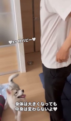 イヴちゃんとお兄ちゃん