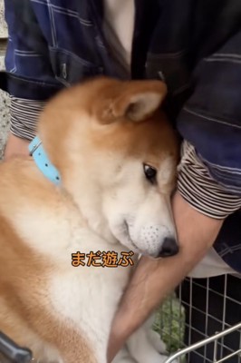 帰宅に不満げ！