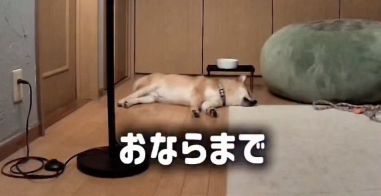 ZZZ…