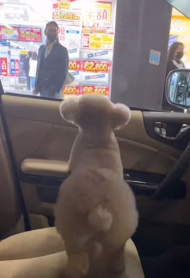 窓の外から見つめる男性