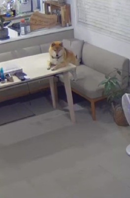 よく見てみると…