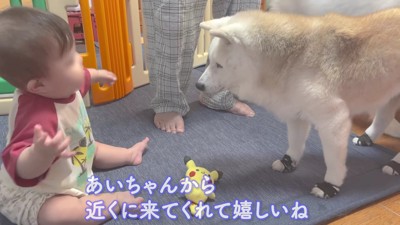 先輩として優しく接します