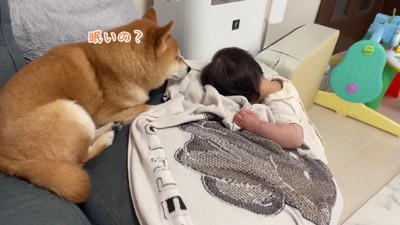 うにくんも心配そう