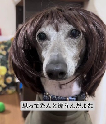 思ってたのと違う…！？