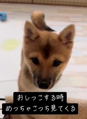 可愛らしい姿にキュン♡