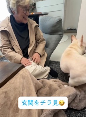 玄関の方を見る犬