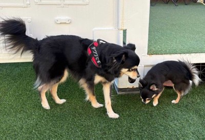 脳がバグを起こしそう！