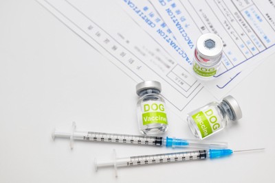 予防接種、注射器、証明書