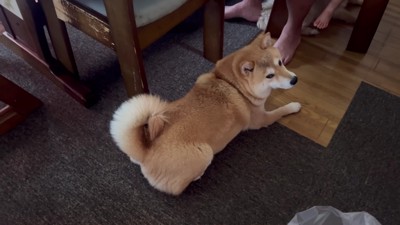 「泣き止むまで一緒だよ」