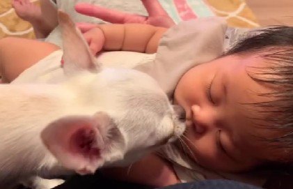 可愛い妹がいます♡