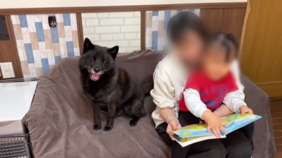 パパを見る一休さん