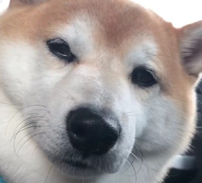 「病院に行くよ」