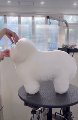 丸みが増していく…