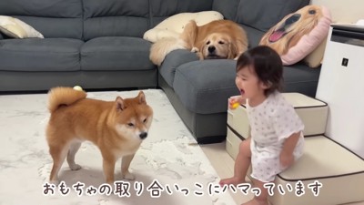 うにくんとほのちゃん