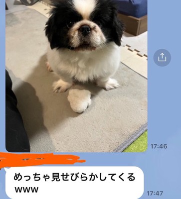おもちゃ