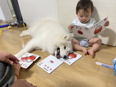 絵本