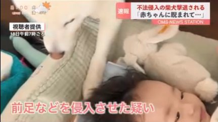 不法侵入するおまめくん