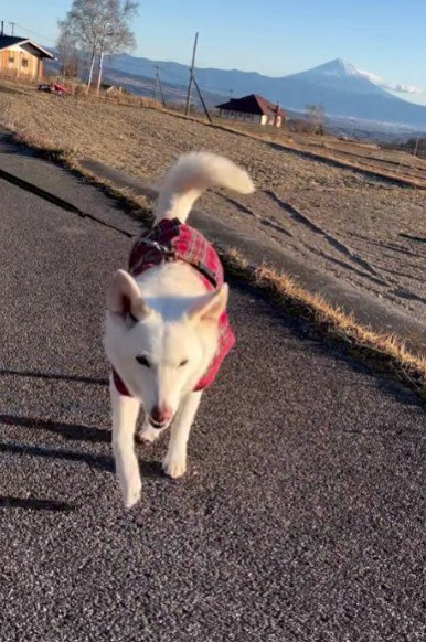 「病院じゃなくてよかった」