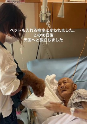 心温まる触れ合いに涙…