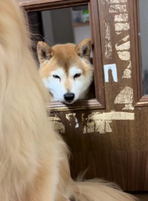 「監督不行届です…」