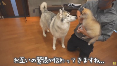 にこちゃんとは…