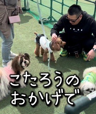 ドッグランで犬とふれあう人