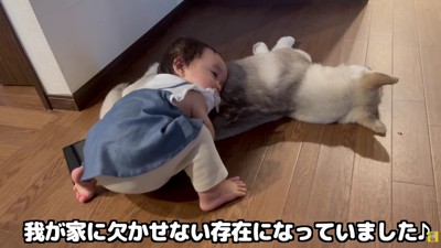 かけがえのない家族に