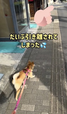 「待ってー!!」